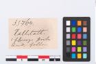 Etikett zu Sapropelitringperle (NHMW-PRAE-035764)